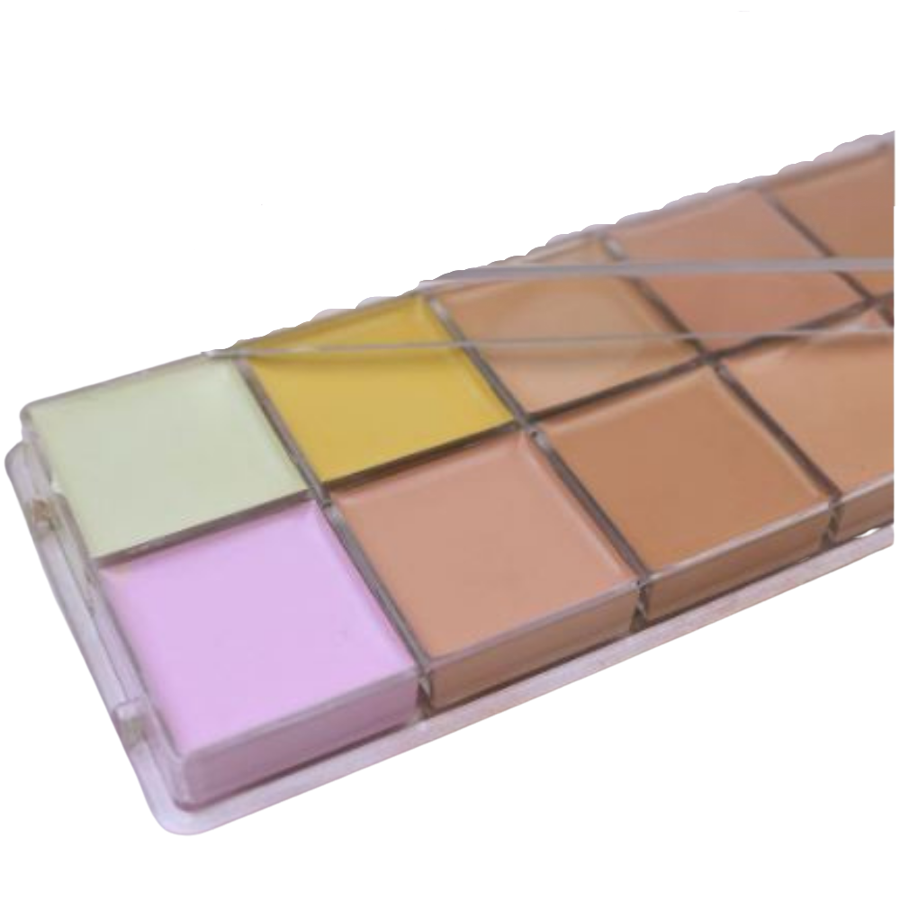 KASHI ™ KOSMETICS 12 Color Concealer Palette